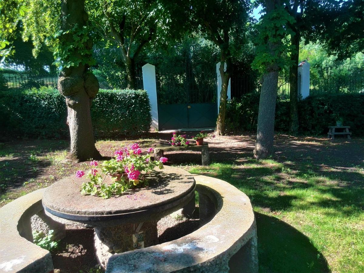 San Pedro de TorellóTorre De Codinac别墅 外观 照片
