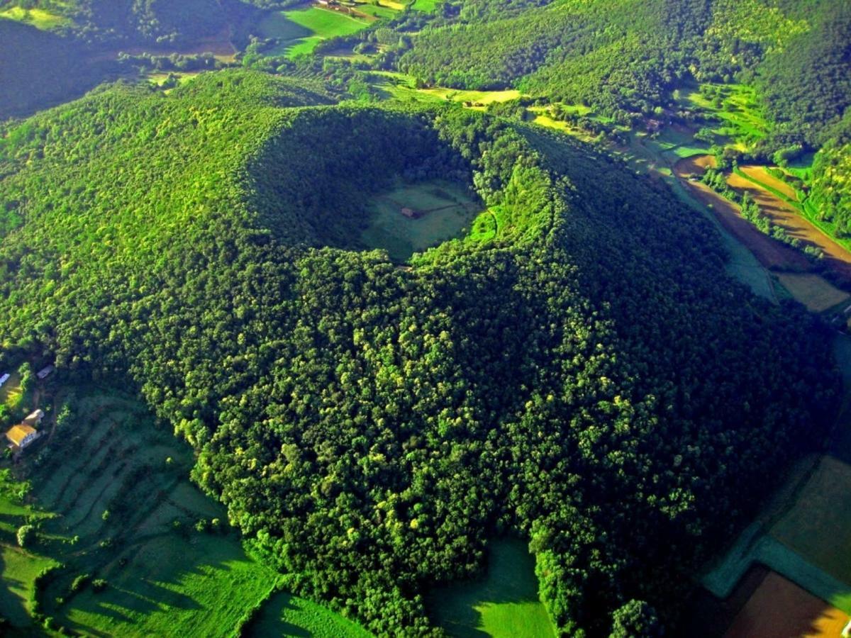 San Pedro de TorellóTorre De Codinac别墅 外观 照片